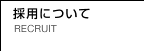 �̗p�ɂ���